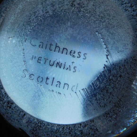 Caithness Scotland Petunias paperweight mint condition - Picture 7 of 11